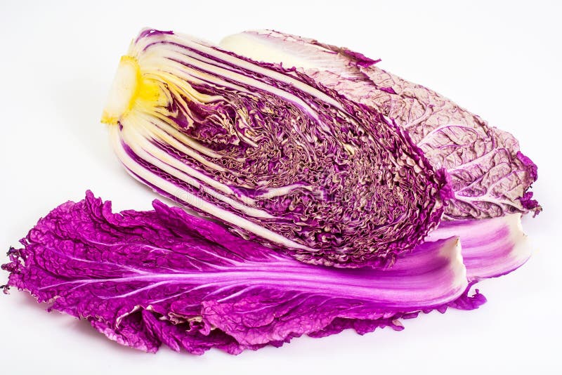 Red Chinese Cabbage on a Light Background Stock Image Image of