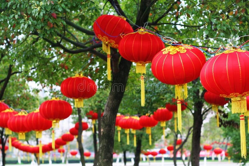 Chinese Wedding Lantern stock image. Image of macro, flower 3602353