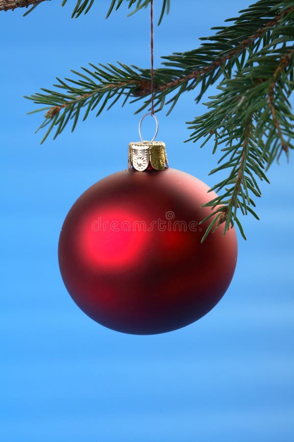 Red Christmas Bulb Isolated on White Stock Photo Image of december