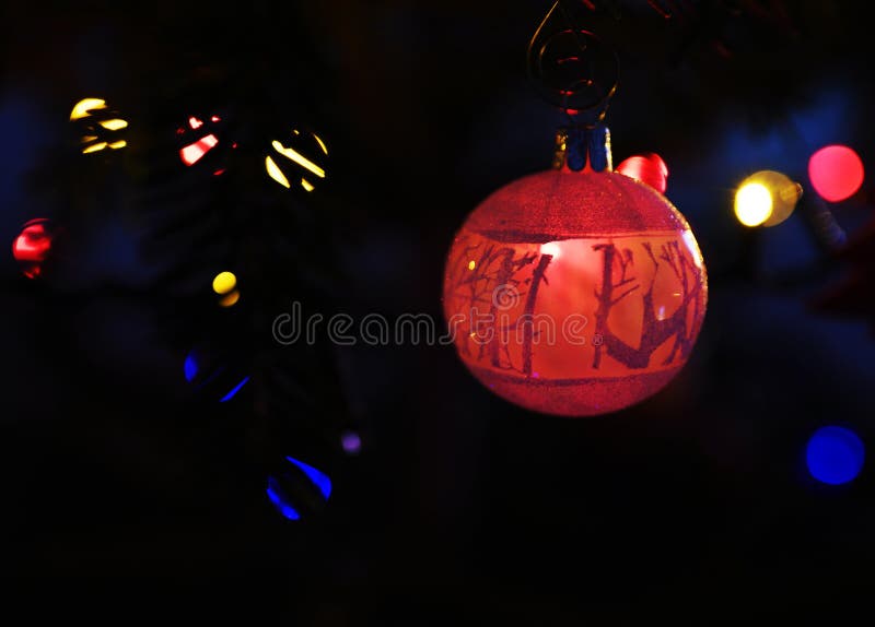 Red Christmas Glass Ornament on a Christmas Tree Stock Photo - Image of ...