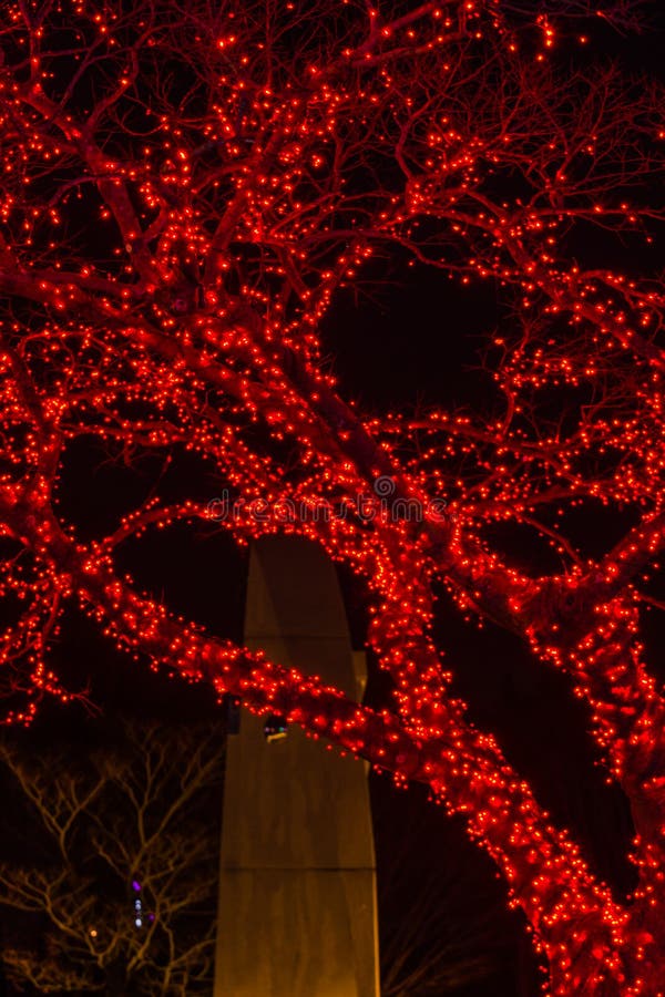 Red Christmas Lights on Tree Stock Image Image of decorative, card