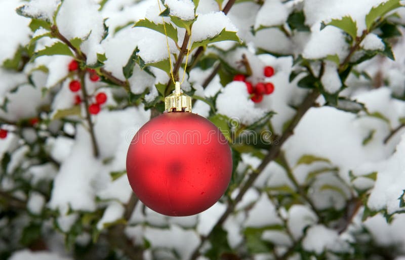 Red Christmas Ornament