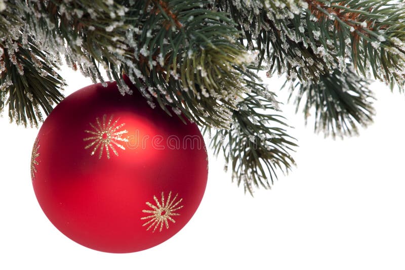 Red Christmas tree ball on fir branch