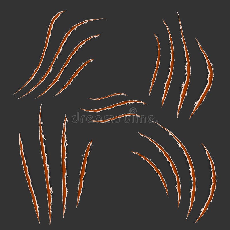 Red Claws Animal Scratch Scrape Track Isolated on Dark Background. Vector Illustration, Eps10 Stock Vector - Illustration of monster, concept: 199691125 Red Claws Animal Scratch Scrape Track Isolated on Dark Background. Vector Illustration, Eps10 Stock Vector - Illustration of monster, concept: 199691125