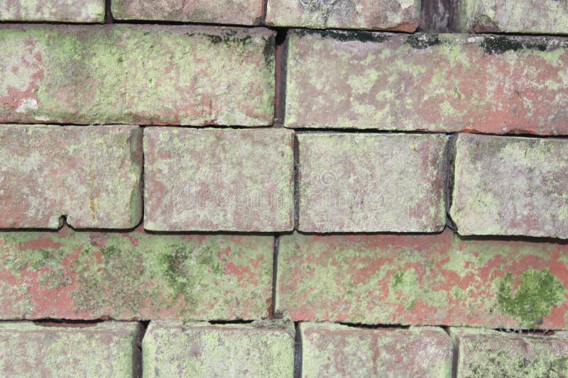 Red Clay Bricks Stacked Up Forming A Wall Covered In Moss royalty free stock images