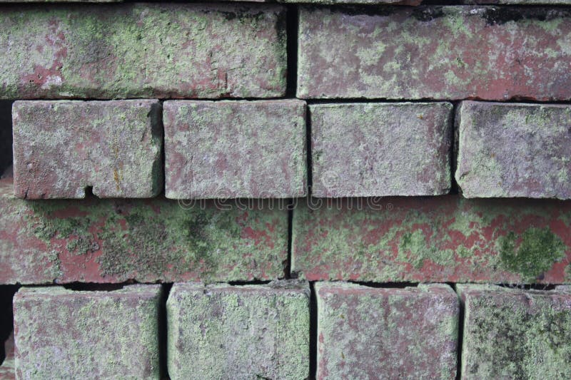 Red Clay Bricks Stacked Up Forming A Wall Covered In Moss royalty free stock photography