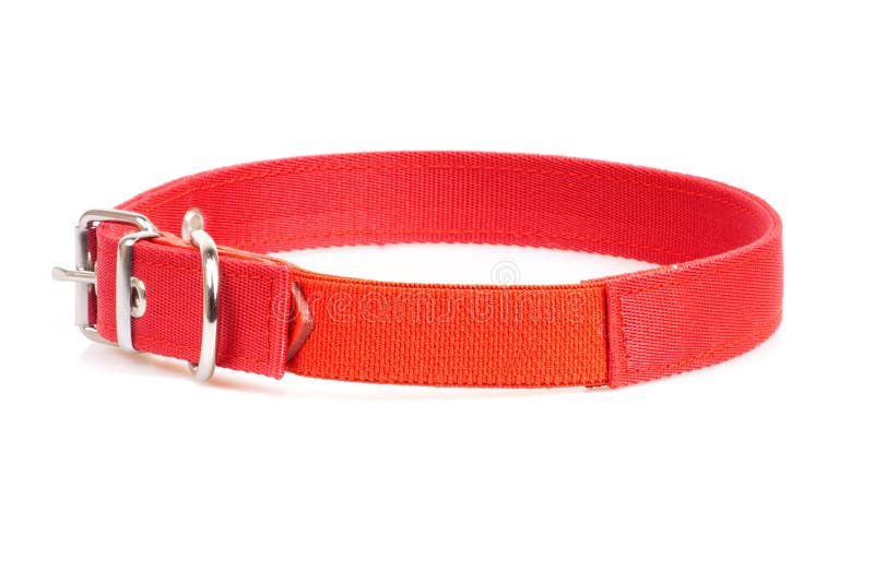 Red collar stock image. Image of canine, leash, fastener 24921989