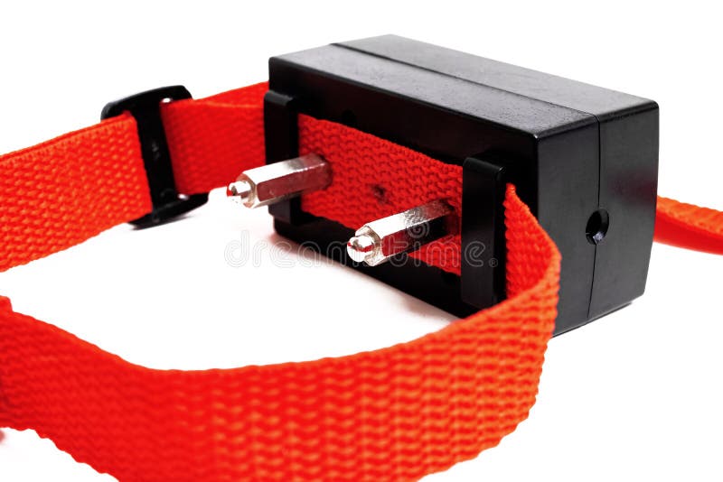 redhead shock collar