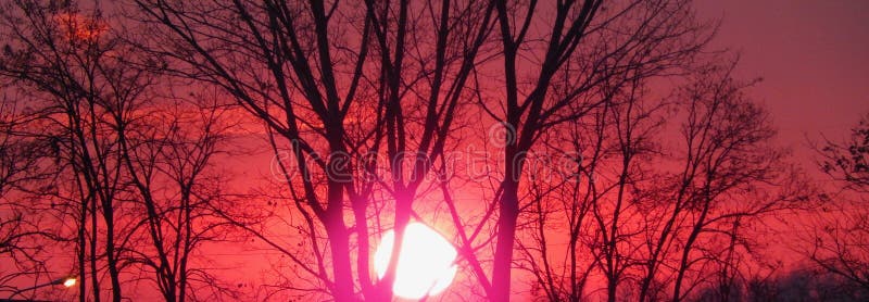 Red color stock photo. Image of trees, color, total 105550754