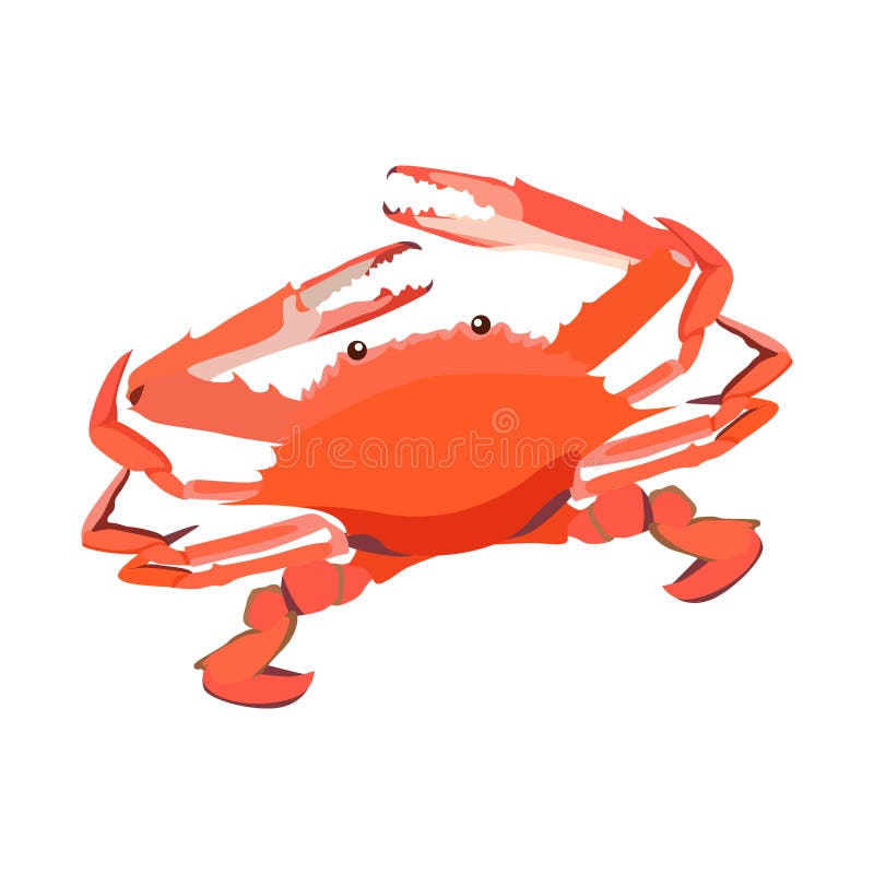 Red cooked crab icon isolated on white background, fresh seafood, healthy tasty food, vector illustration.