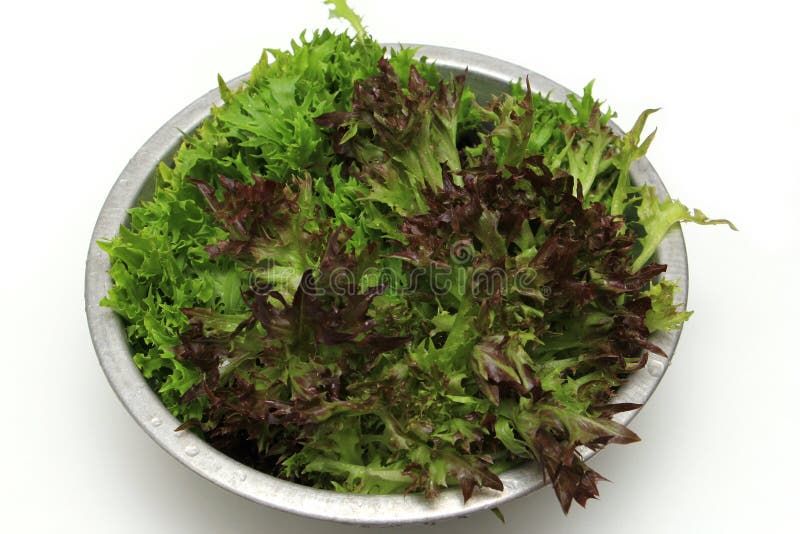 Red Coral Salad Isolated White Background Stock Photo Image of