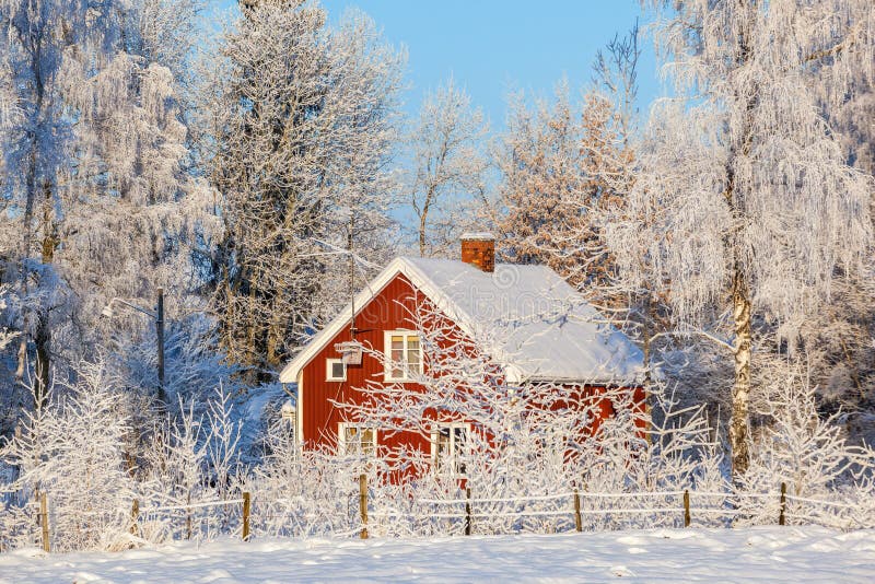 Red cottage in winter forest