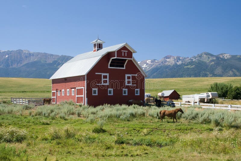 Red country barn with horses