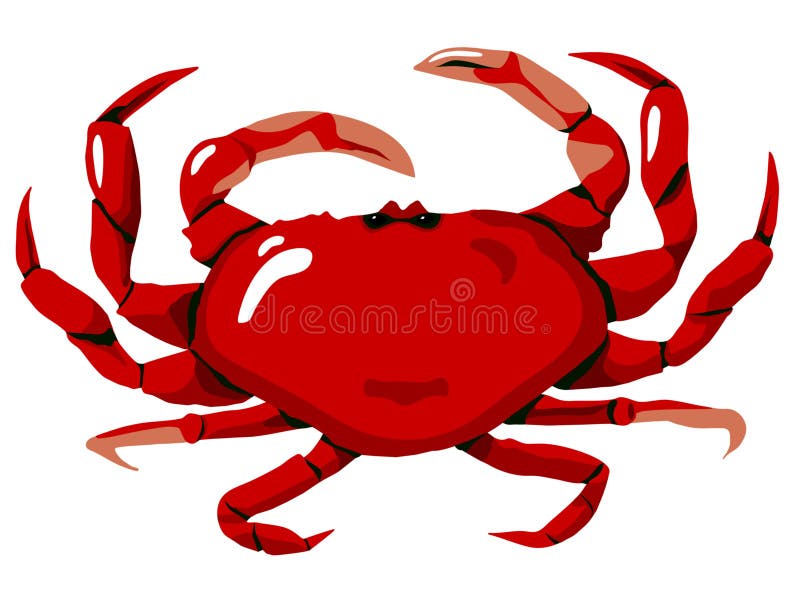 The Red Crab is original artwork in digital form. The Red Crab vector design is in easy edit layers and is AI-EPS8 format.