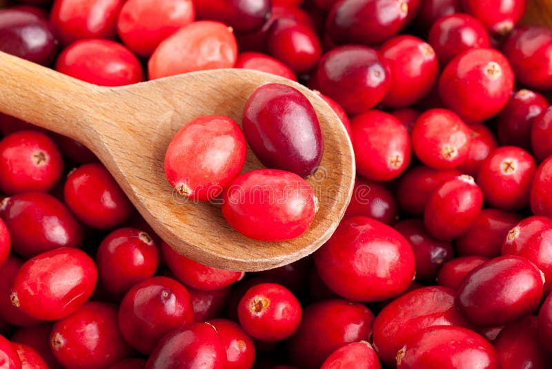 Fresh red cranberries in the wooden bowl with spoon