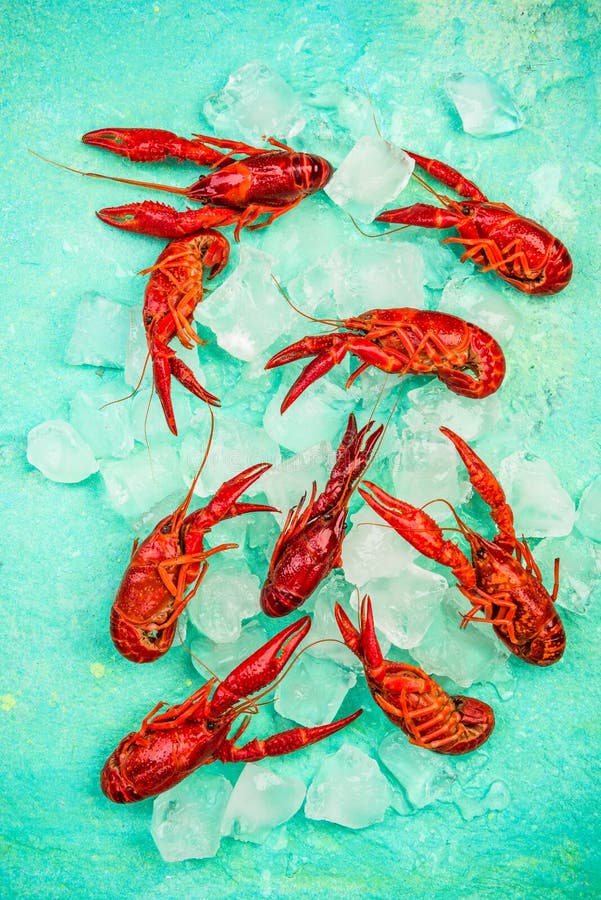 Red Crayfish or Lobster, Fresh on Ice Cubes, Top View