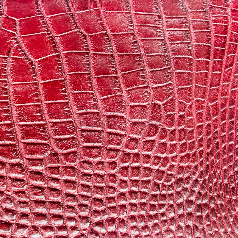 790 Red Crocodile Leather Texture Stock Photos - Free & Royalty-Free Stock  Photos from Dreamstime