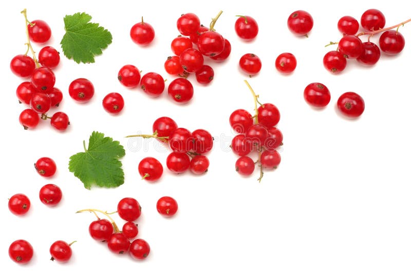 red currant with green leaf isolated on a white background. healthy food. top view