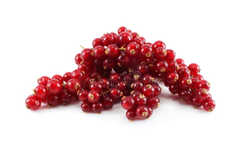 red currants sainsburys