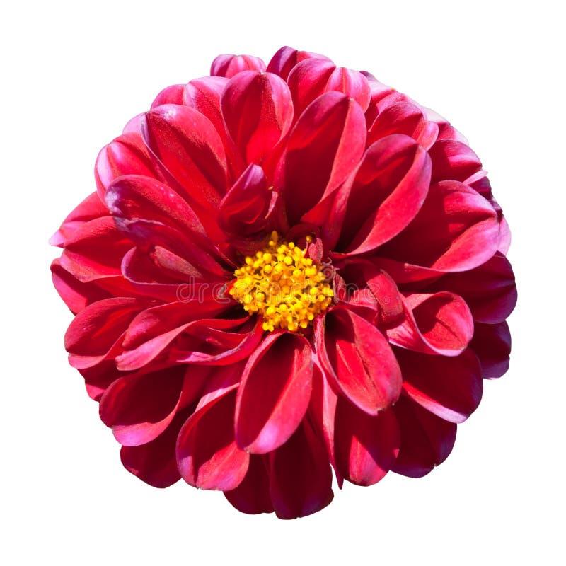 My Image 6