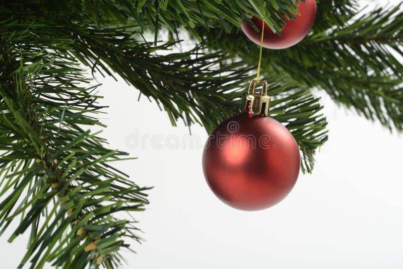 Red Decorative Ball on Christmas Tree Stock Photo Image of ball