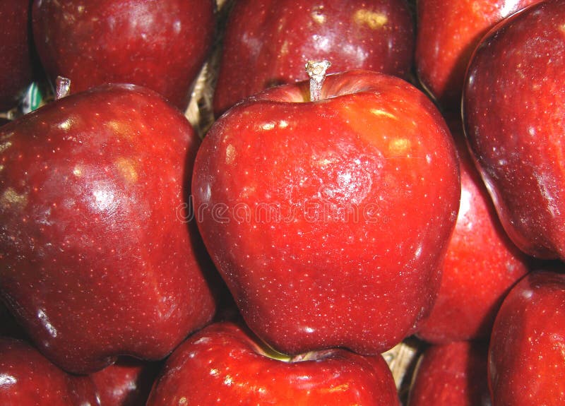 Red Delicious Apples stock image. Image of desert, fruit 588145