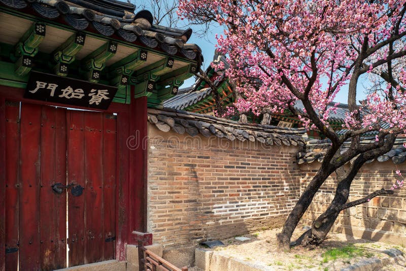 Red door in Changdeokgung Palace with cherry blossoms and flowers in spring, Seoul, South Korea stock photos Red door in Changdeokgung Palace with cherry blossoms and flowers in spring, Seoul, South Korea stock photos
