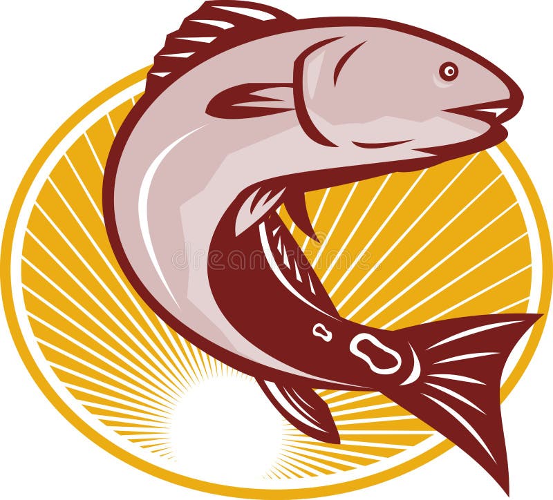 Download Redfish Red Drum Fish Vector Stock Vector Illustration Of Artificial Saltwater 47540983