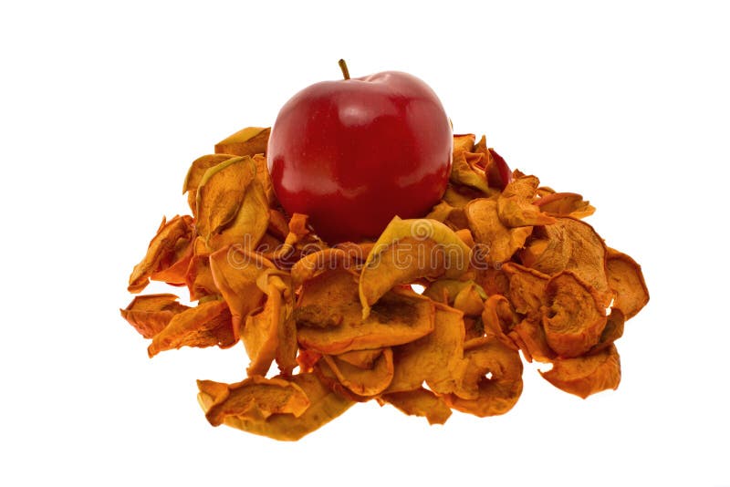Red and dry apples stock photo. Image of healthy, organic 11194136