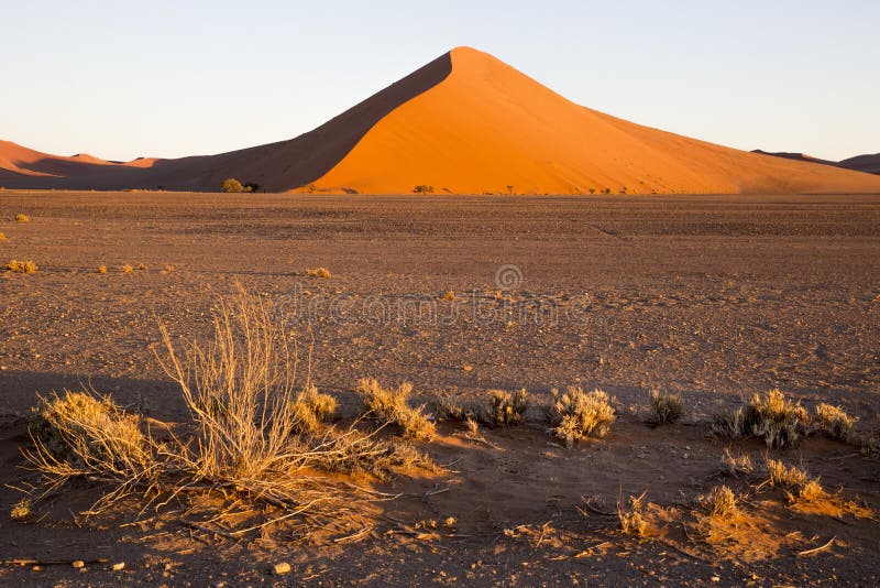 red dunes safari namibia