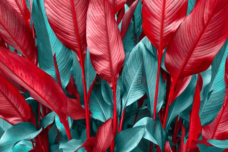 Red, emerald, green large leaf tropics Floral background