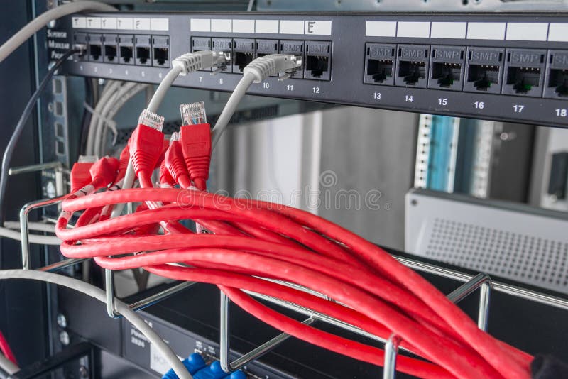 Red ethernet cables connected to switch royalty free stock image