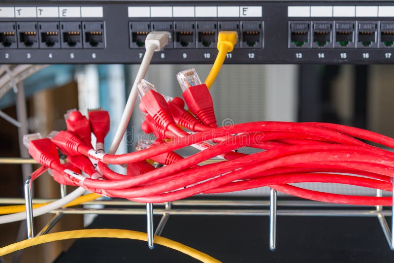 Red ethernet cables connected to switch royalty free stock photos