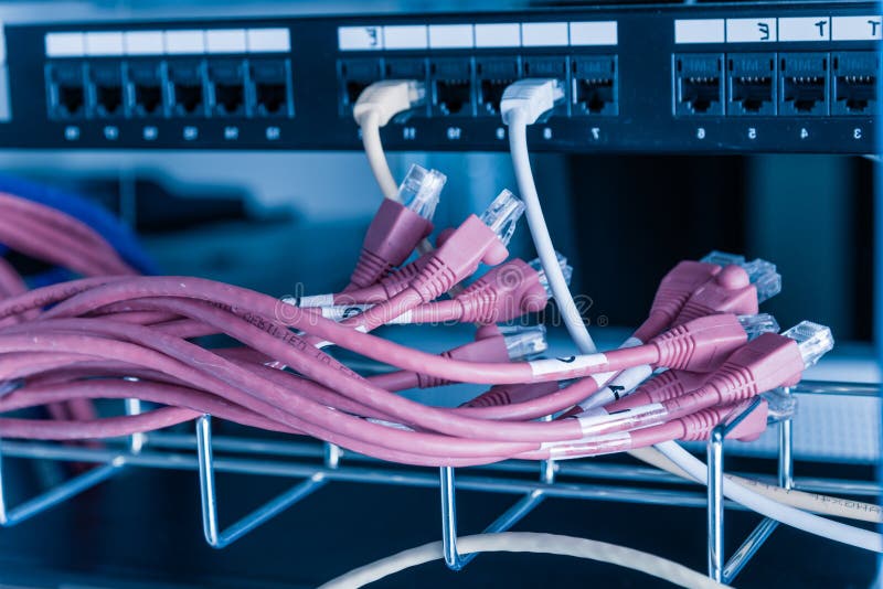 Red ethernet cables to be connected to switch royalty free stock photo