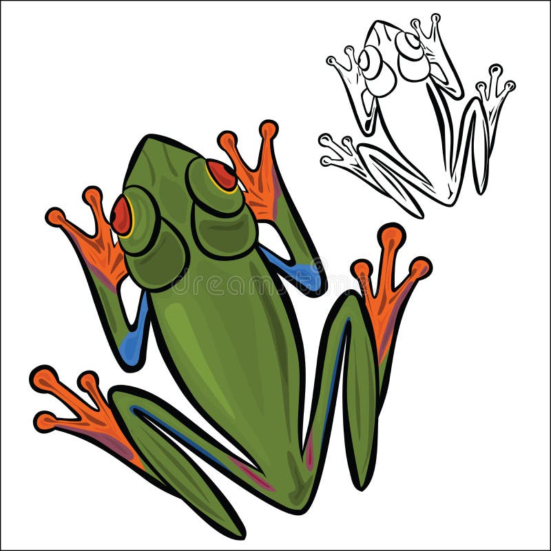 Red-eyed tree frog royalty free illustration