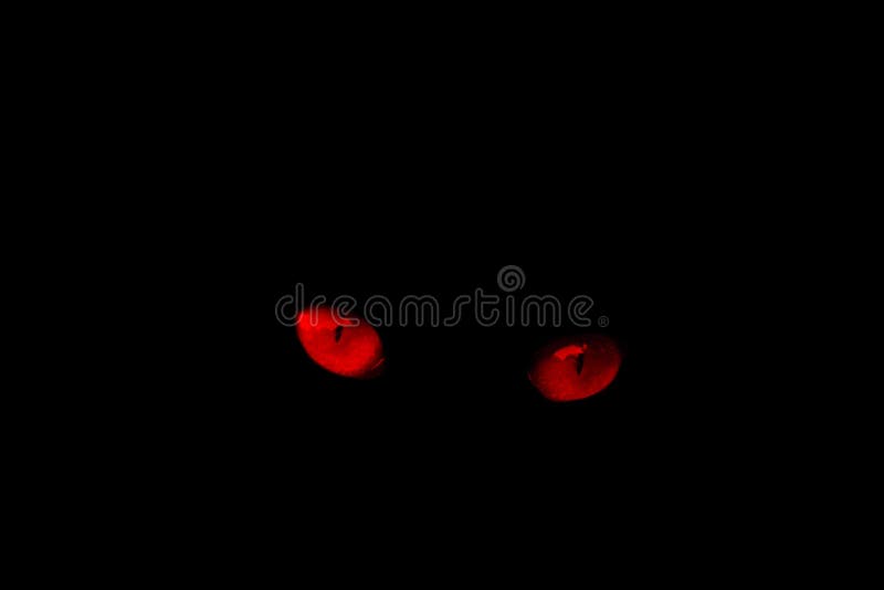 Lấy cảm hứng từ thiên nhiên, hiệu ứng mắt đỏ của mèo trên nền đen sẽ đem đến cho bạn những phút giây tuyệt vời trong việc khám phá và sáng tạo. Hãy khám phá thêm về hình ảnh stock photo này.