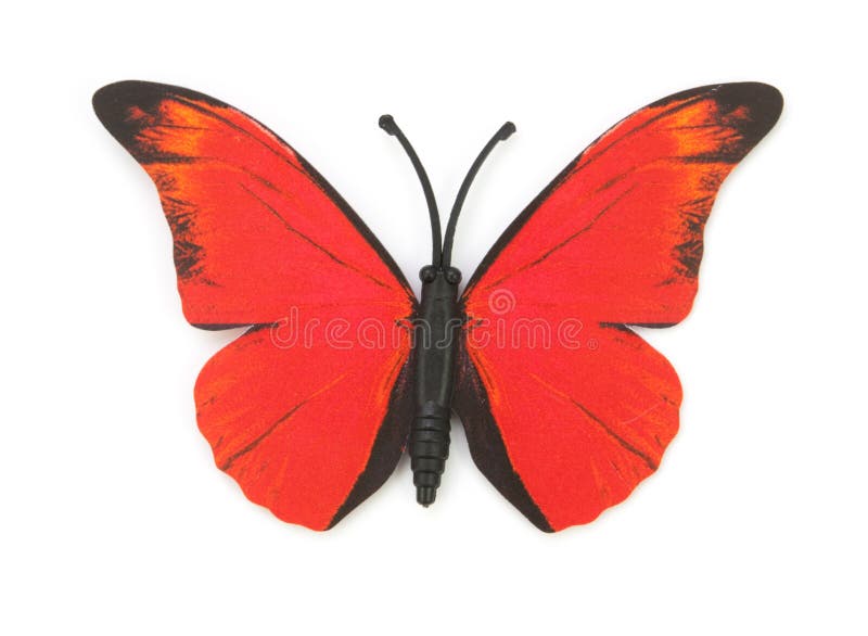 462 Fake Butterfly Stock Photos - Free & Royalty-Free Stock Photos