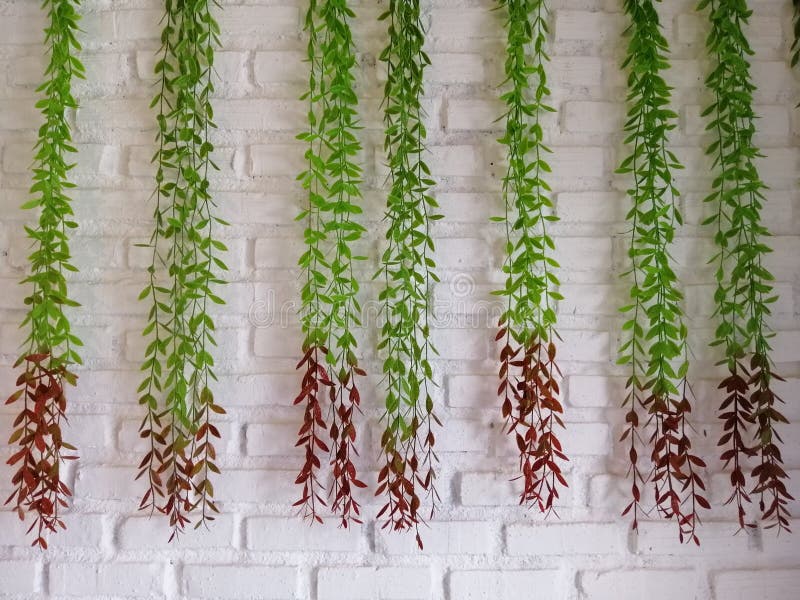 Red Fake Leaf and Green Fake Leaf on White Brick Wall Stock Photo