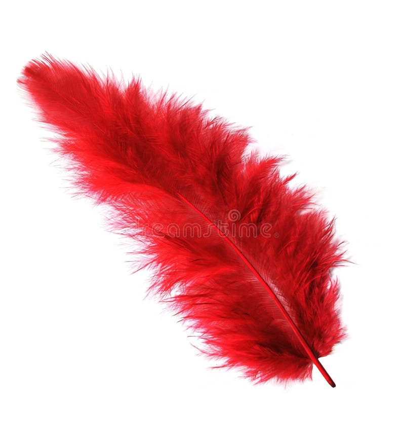 Red Feather Images – Browse 874,919 Stock Photos, Vectors, and Video