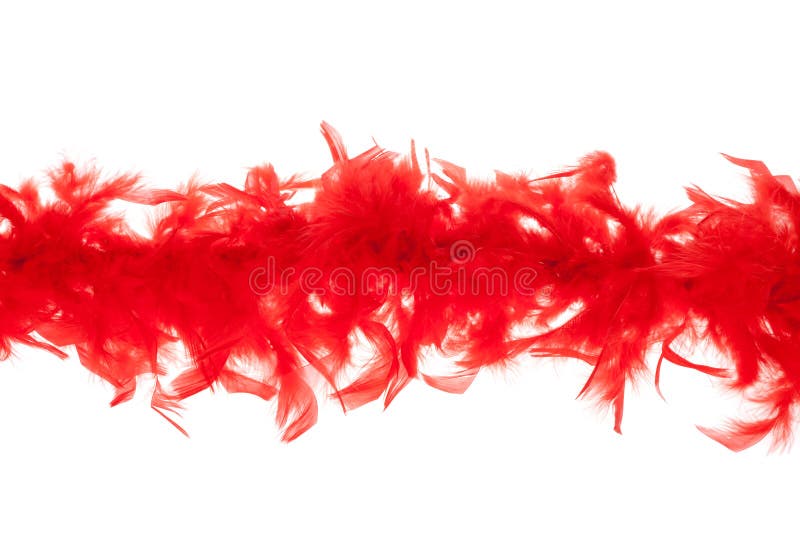 4,800+ Feather Boa Stock Photos, Pictures & Royalty-Free Images