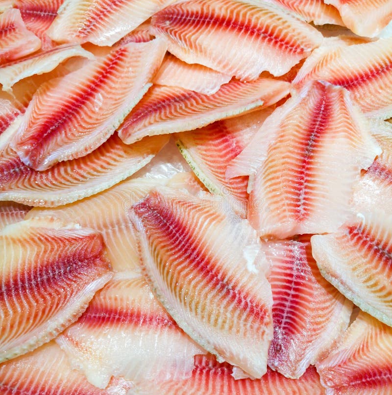 Red Fillet of Tilapia Fish on the Counter Stock Photo Image of market