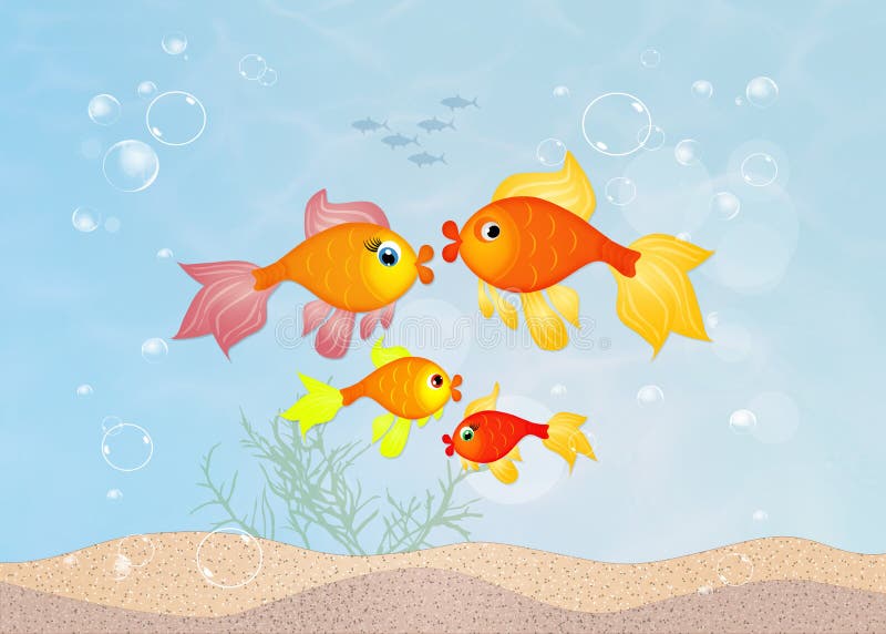 Red fishes family
