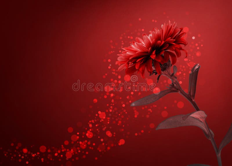 https://thumbs.dreamstime.com/b/red-flower-background-decoration-59106623.jpg