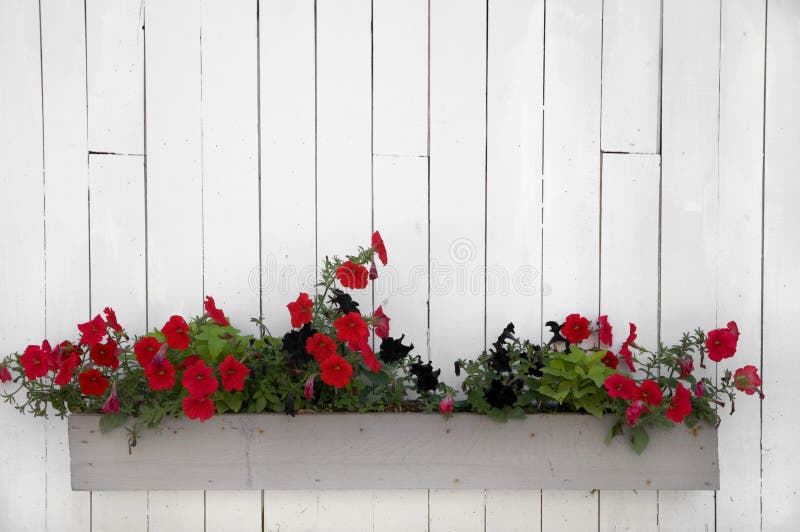 Red Flower Basket on White Barn Wall