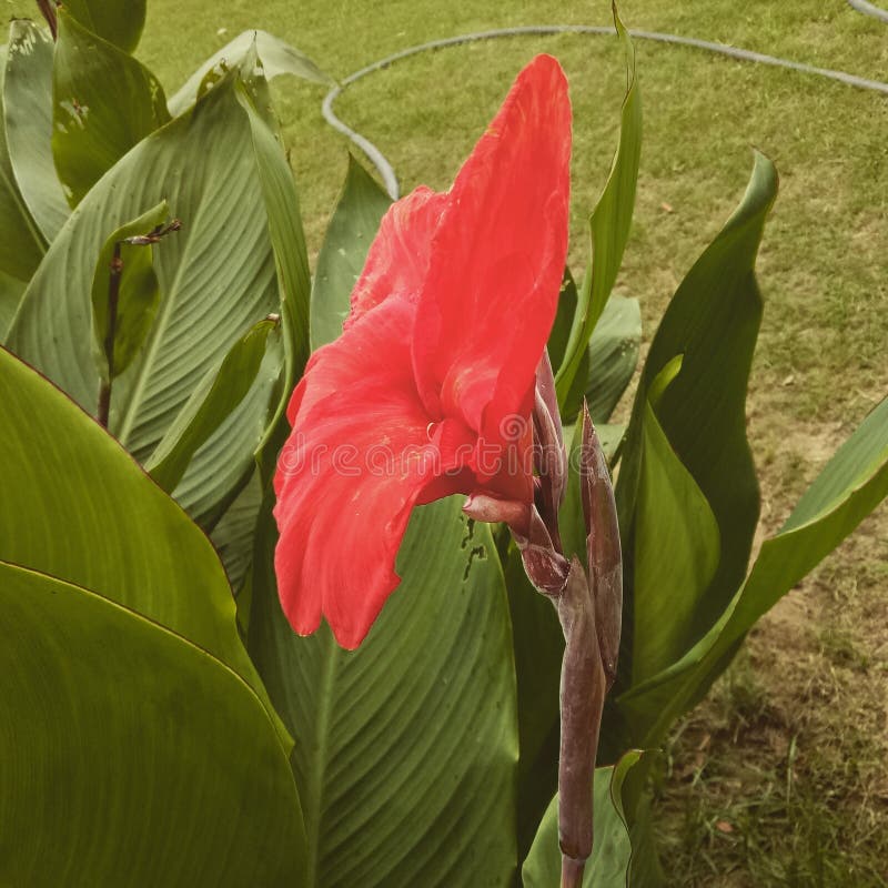 My Image 23