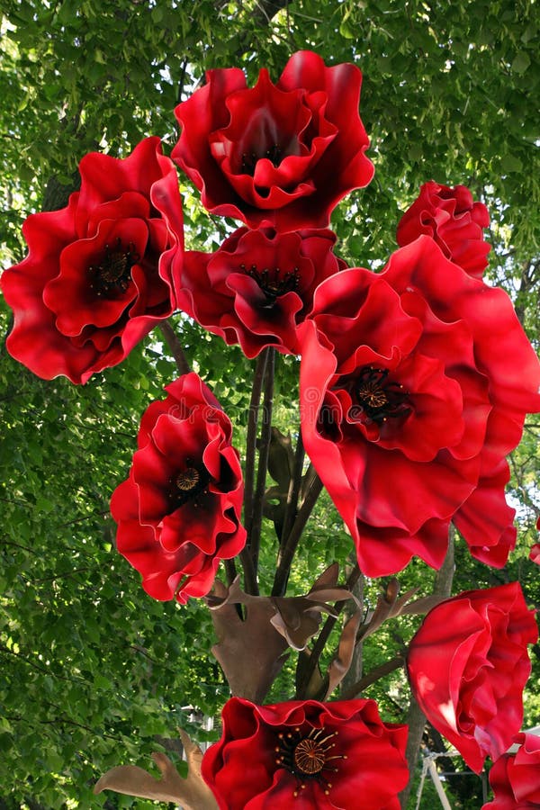 Red flowers for decoration