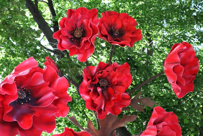 Red flowers for decoration