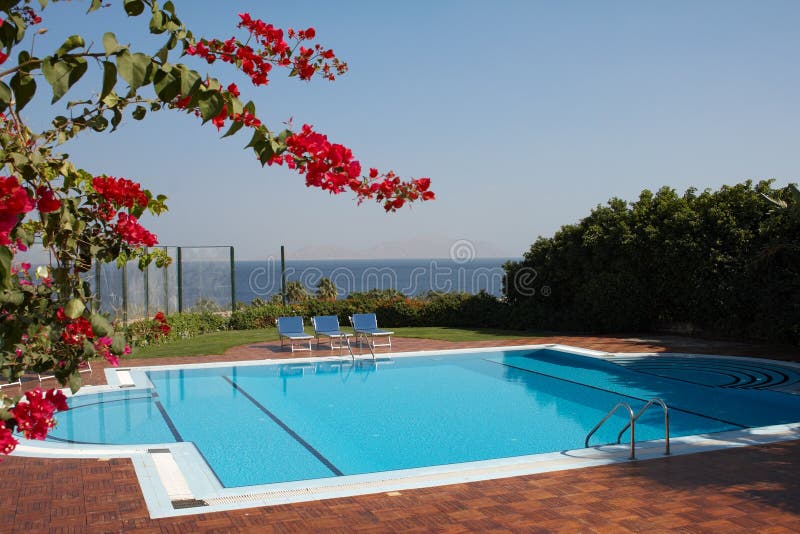 Red flowers and swimming pool