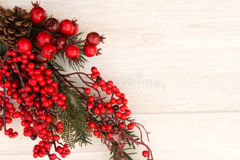 Red Fruits On The Branch Christmas For Decoration Stock Image - Image ...