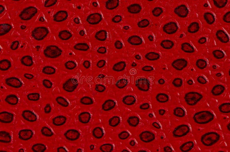red för bokomslagdetaljläder arkivbilder red för bokomslagdetaljläder arkivbilder